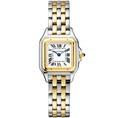PanthÃ¨re de Cartier Small 18ct Yellow Gold & Steel Watch
