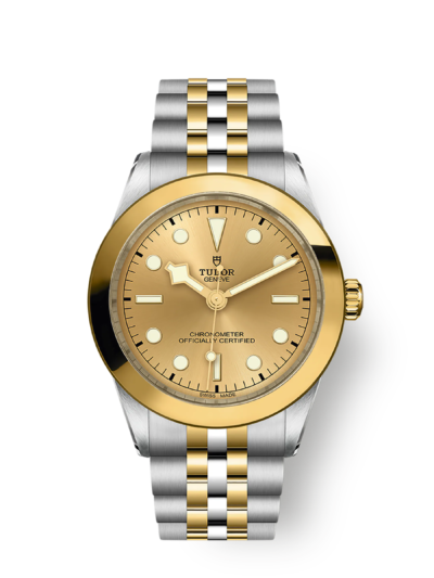 Tudor Black Bay 39 S&G, 316L Stainless Steel and 18k Yellow Gold, Ref# M79663-0005