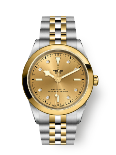 Tudor Black Bay 41 S&G, 316L Stainless Steel and 18k Yellow Gold, Ref# M79683-0008