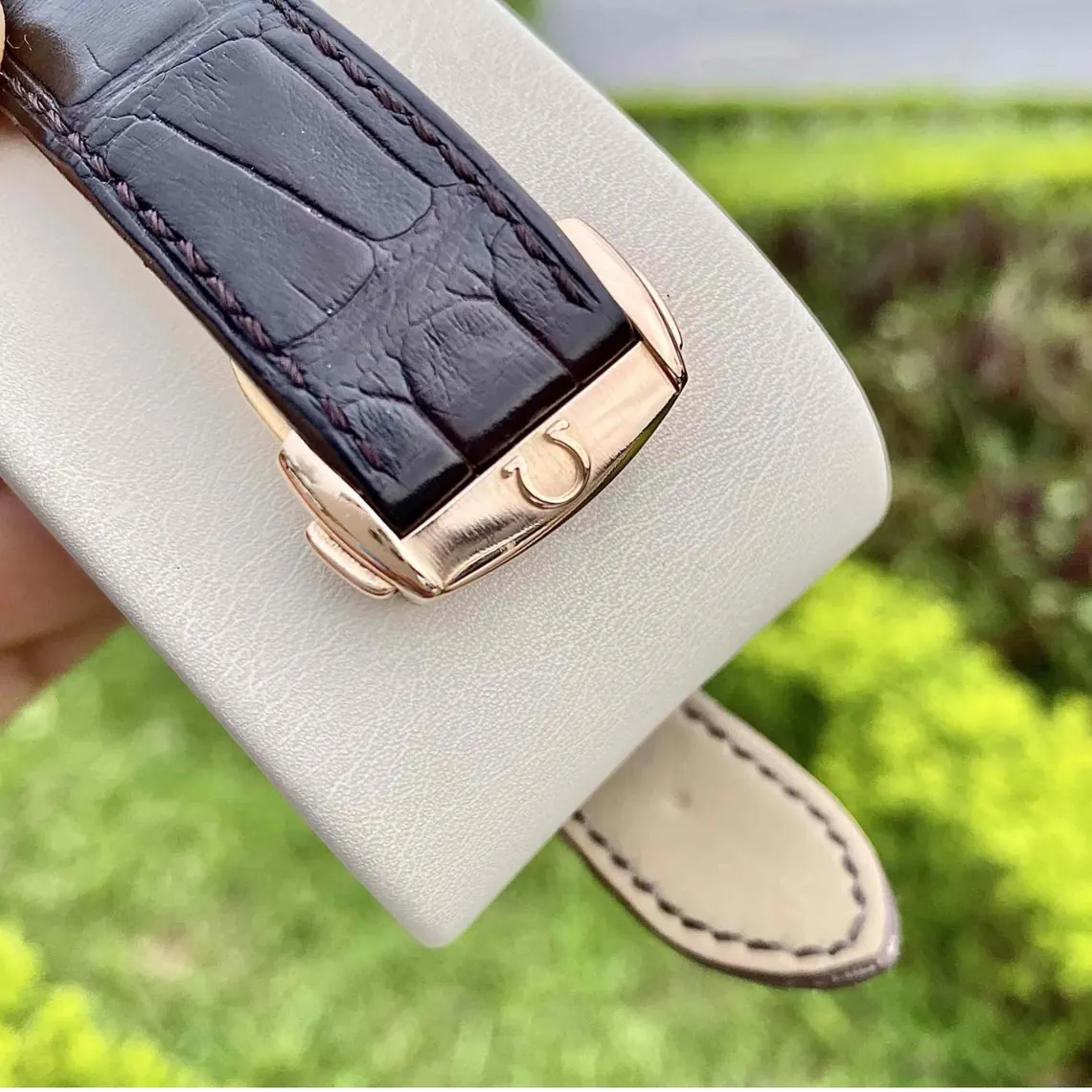 il_1140xN.7441694712_hf43