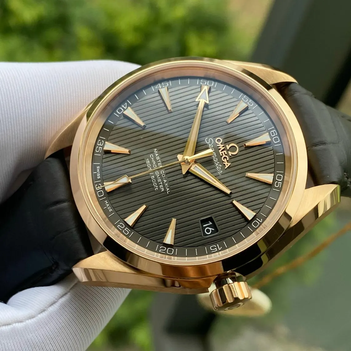 il_1140xN.7441762194_dlw4