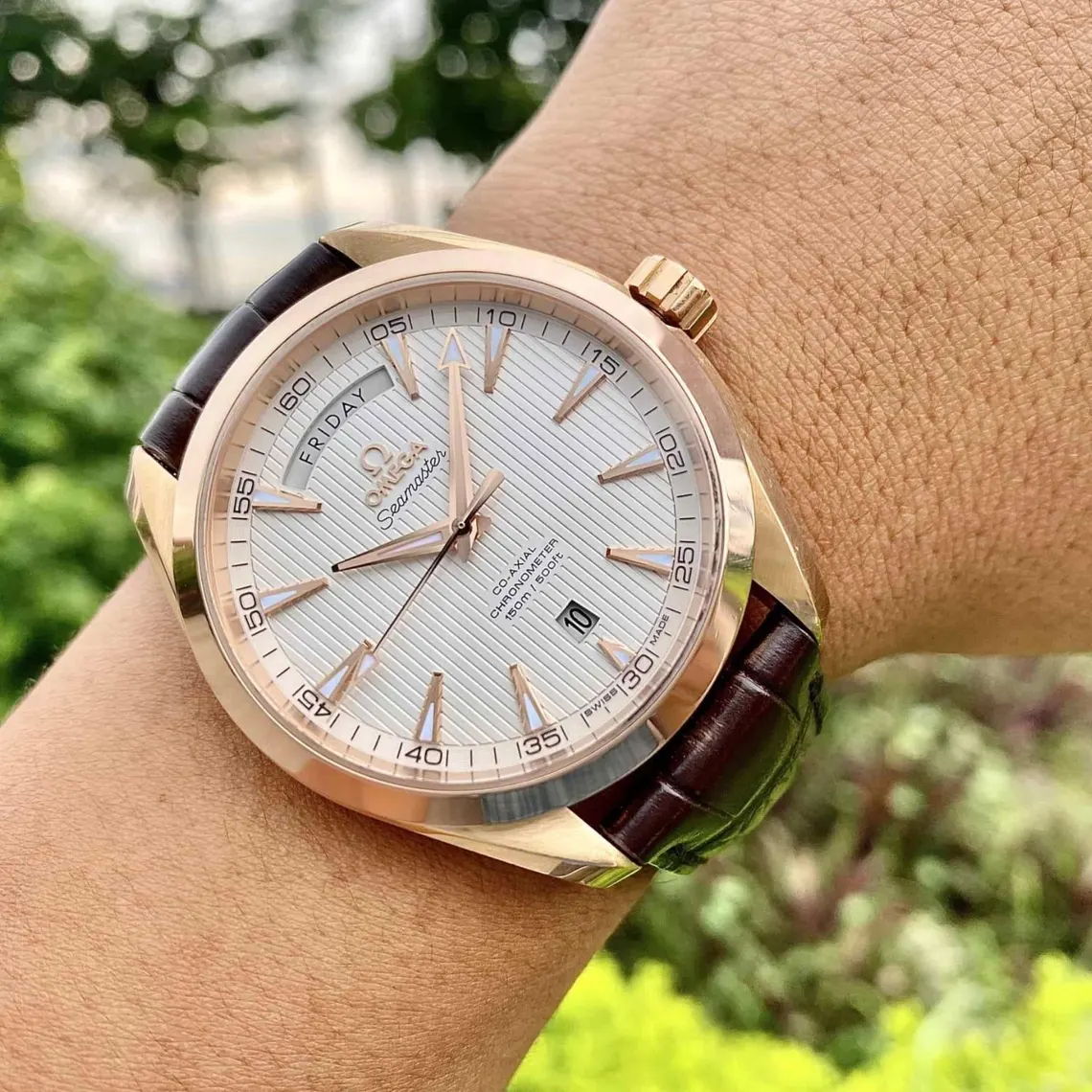 il_1140xN.7489617125_nujx